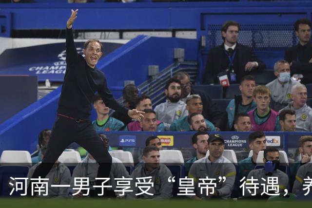 河南一男子享受“皇帝”待遇，养几十个女人，还说有钱就要这样干