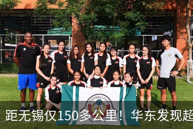 距无锡仅150多公里！华东发现超大铜金矿！